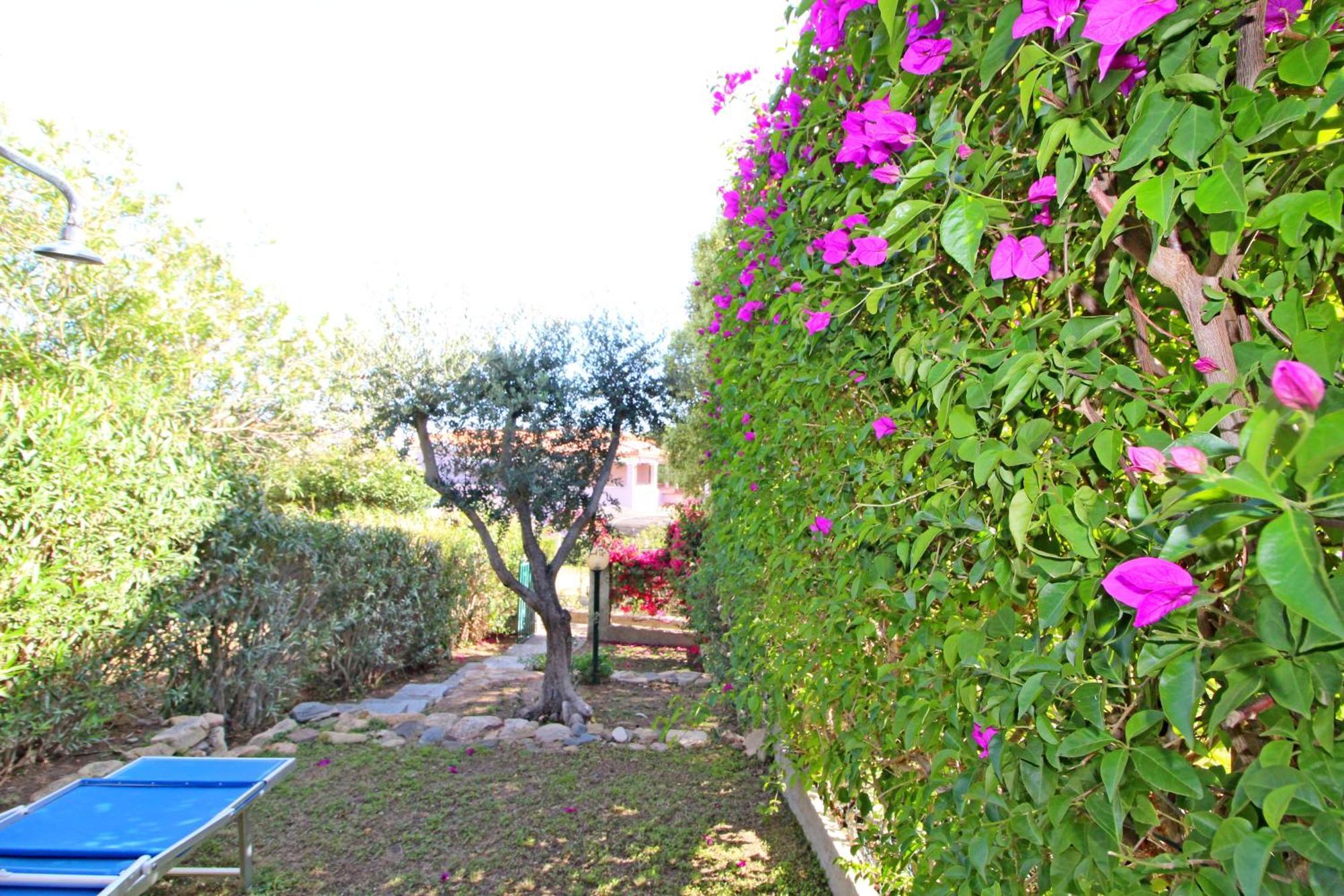 Bilo Blu Holiday A 80 Metri Dal Mare Коста Рей Экстерьер фото