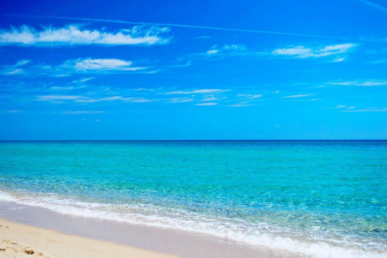 Bilo Blu Holiday A 80 Metri Dal Mare Коста Рей Экстерьер фото
